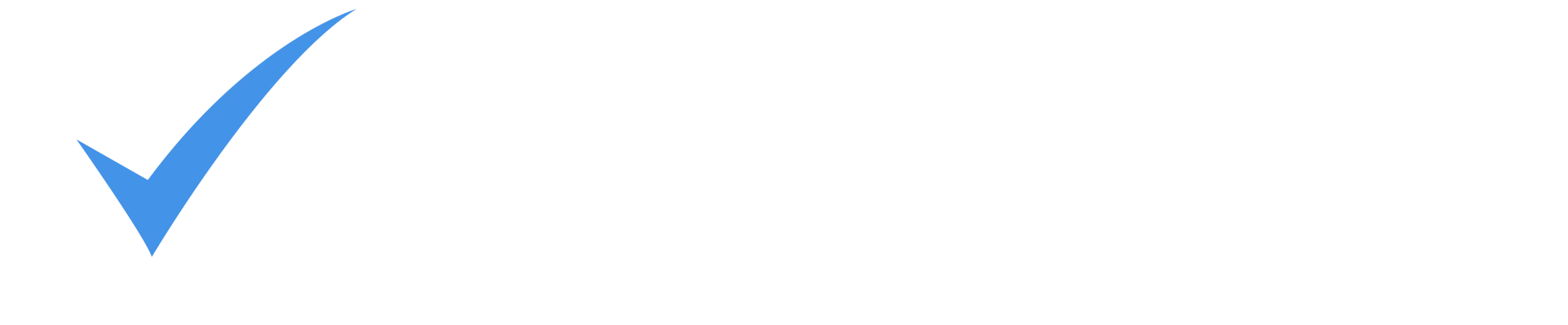 website logo white
